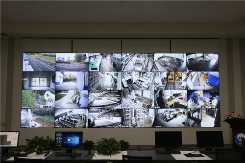 冰輪智能 從 生產制造型 向 服務制造型 企業轉變 打造智能制造創新發展高地