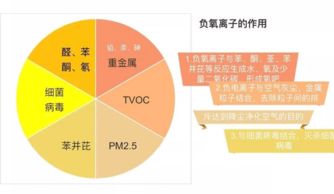 舜明車(chē)載空氣凈化器加盟 信息技術(shù)咨詢(xún)助您精力充沛創(chuàng)業(yè)